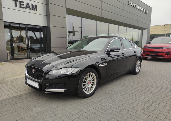 Jaguar XF cena 99900 przebieg: 155587, rok produkcji 2018 z Radzyń Podlaski małe 742